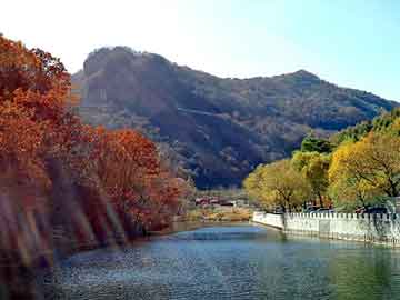 2004新澳门天天开好彩，灵川seo程序